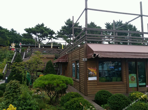 泰安郡酒店住宿-Pinocchio Pension