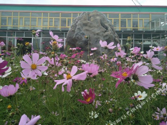 祁连望卓园农庄