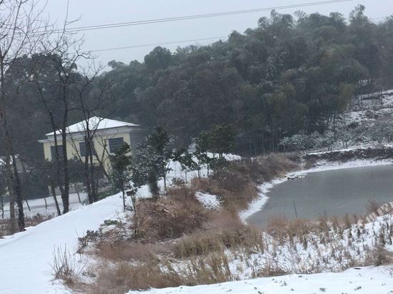 岳阳周葉子特色民宿