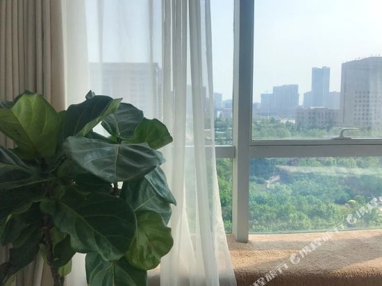 JULY设计生活民宿(新乡新一街店)