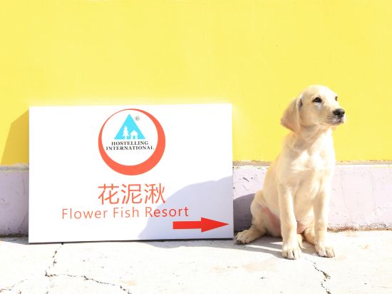 大同花泥湫青年旅舍