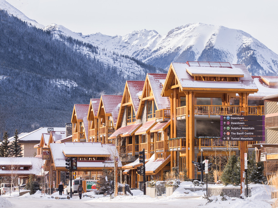班夫酒店住宿-穆斯套房酒店