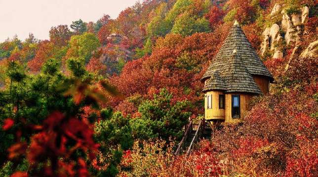 北京云峰山童话树屋-官方