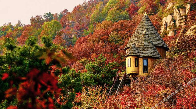 北京云峰山童话树屋主图