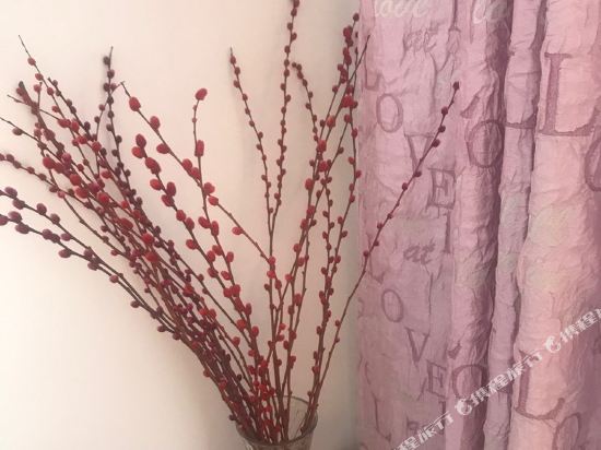 温馨之家青丽公寓(开封金明西街店)