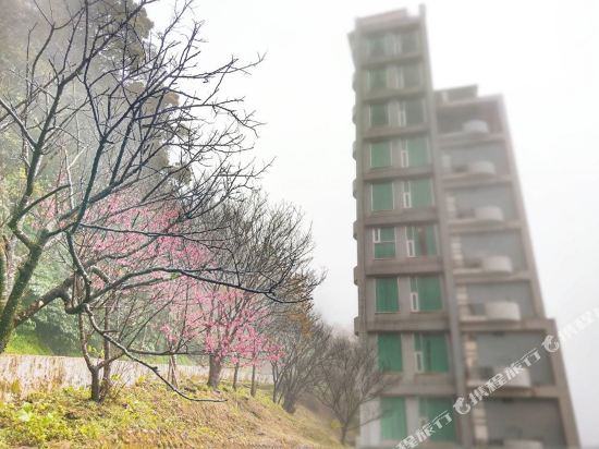 薇星景观汽车旅馆