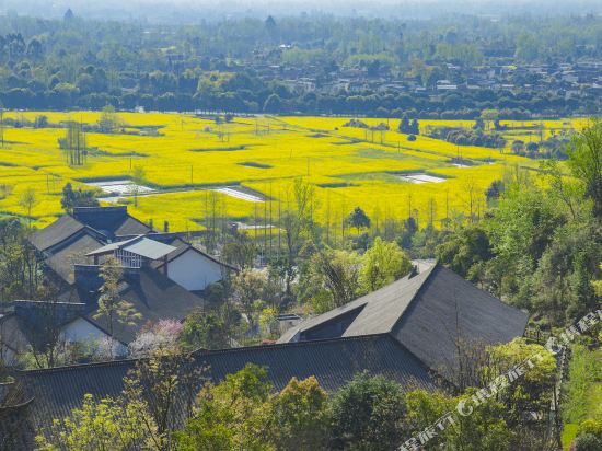 青城山尊酒店