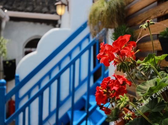 西塘植物记忆别院