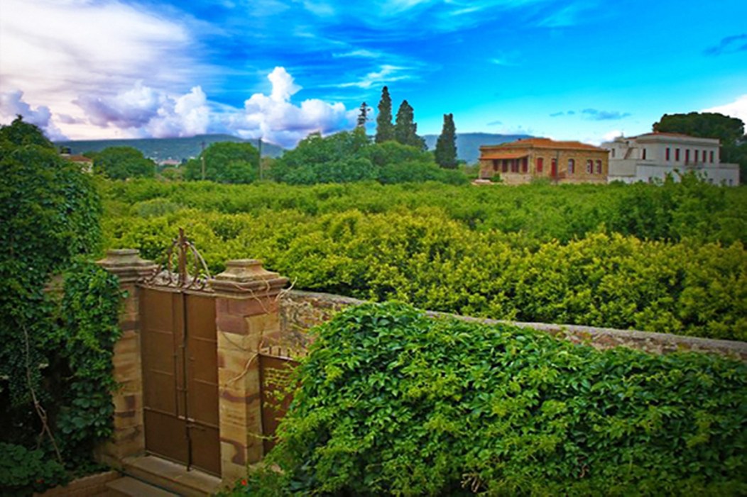 沃拉曼迪斯旅馆-官方