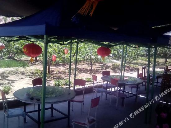 济南龙凤农家乐