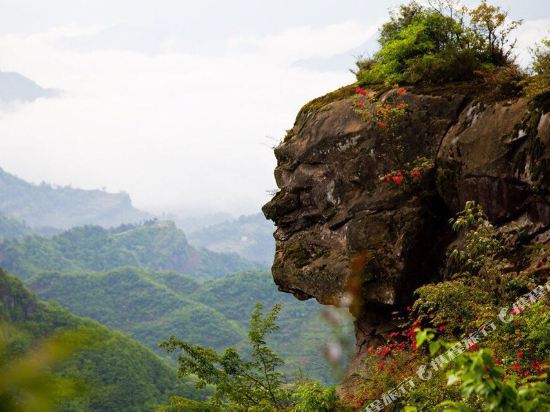 恩施苏马荡逸悦山庄特色民宿