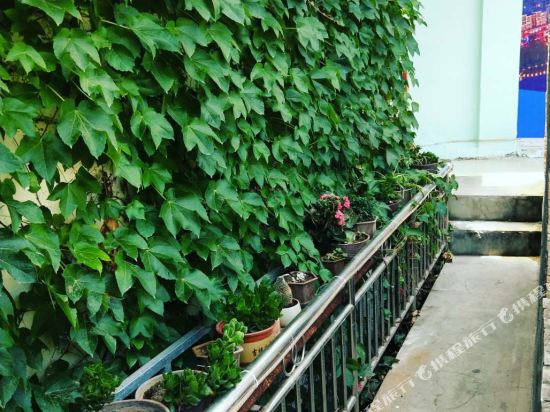 西昌窄巷子客栈