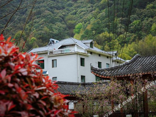 景德镇坐忘书房民宿