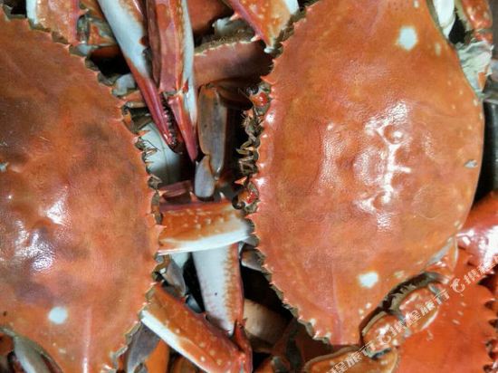 海边大豪宅公寓(莱州3号店)