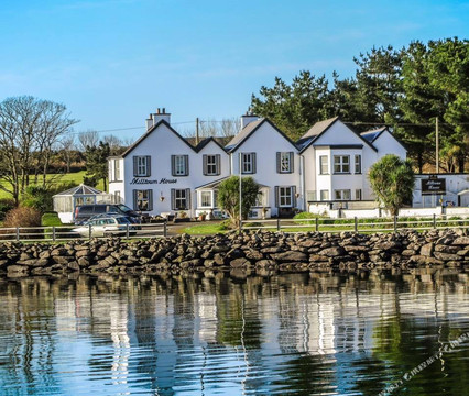 丁格尔酒店住宿-The Milltown House