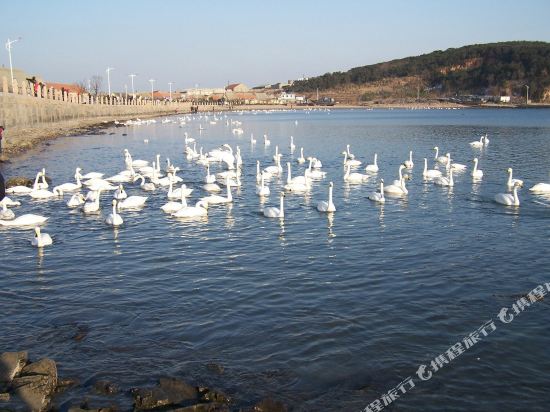 荣成烟墩角大海边农家乐