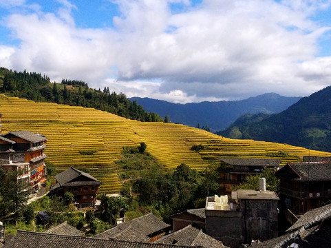 龙胜各族自治县酒店住宿-龙胜龙脊假日酒店