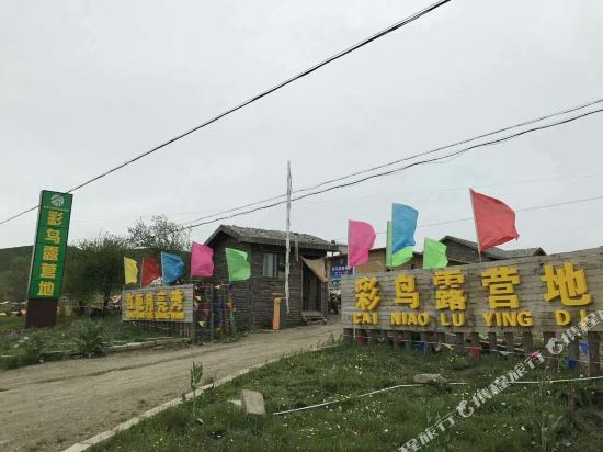 红原月亮湾彩鸟露营