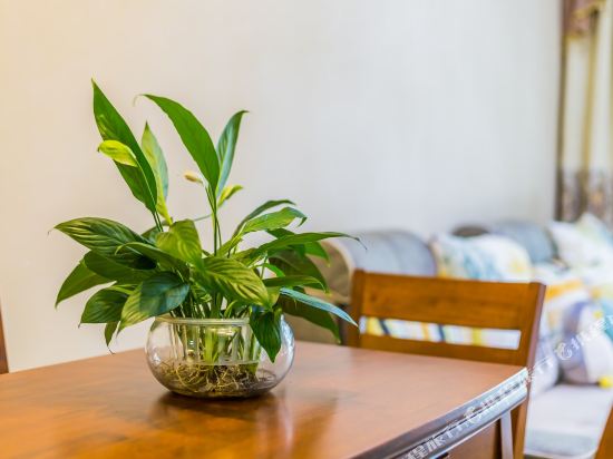 肇庆幸福小女人公寓