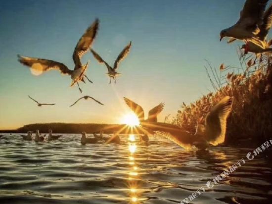 额济纳旗胡杨人家精美家庭旅馆