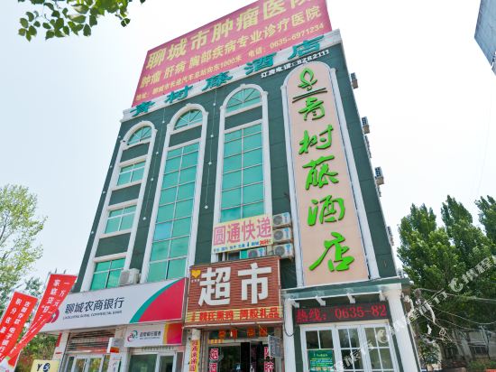青树藤酒店(聊城汽车总站店)