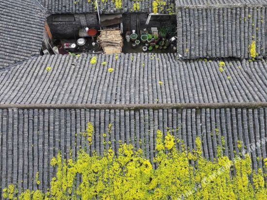 象山航海印象·渔港古城民宿