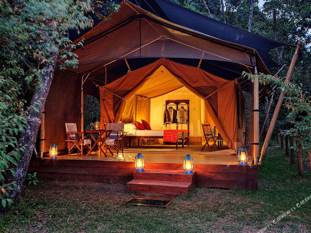 Elephant Pepper Camp Masai Mara