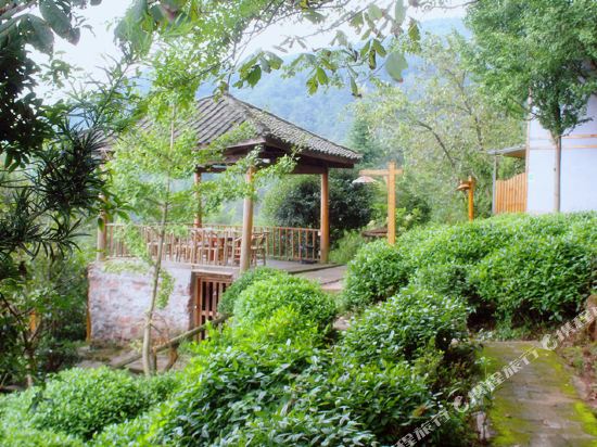 雅安茗源嫣坡庄园