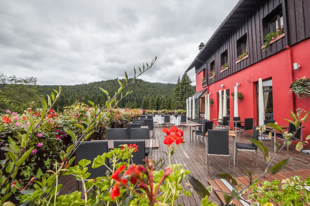 索菲花园酒店-官方