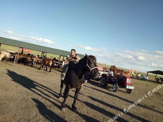 额尔古纳黑山头杭盖牧哥庄园