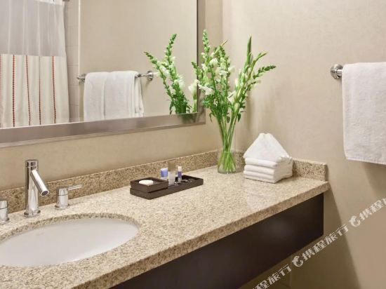 Hyatt Regency O'Hare Chicago Room Type - Accessible Two Double Room with Roll in Shower