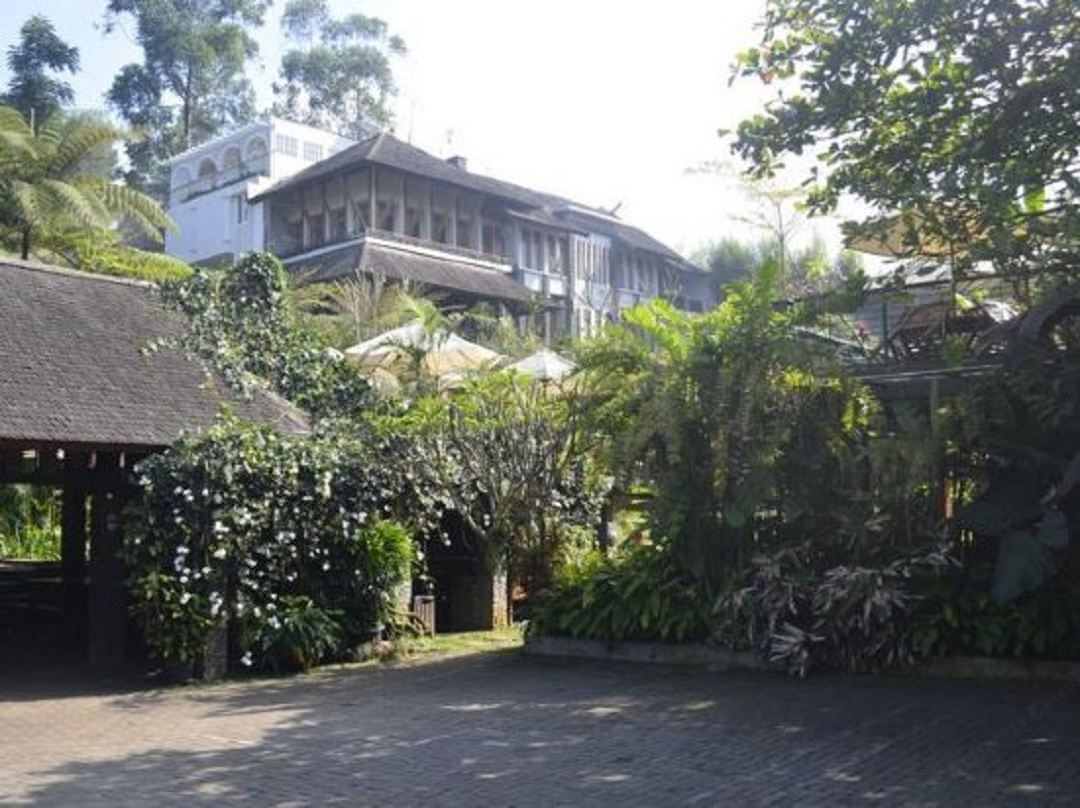 Rumah Stroberi  Organic Strawberry Farm & Lodge