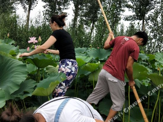 雄县点点妈妈别墅