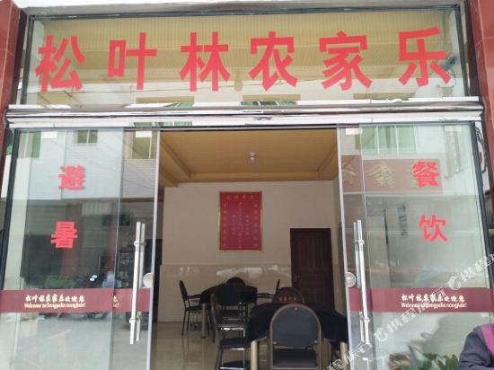 洪雅松叶林农家乐