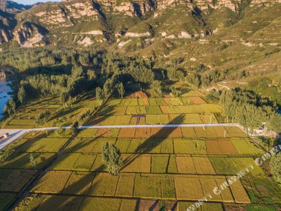 顺平青籽树民宿
