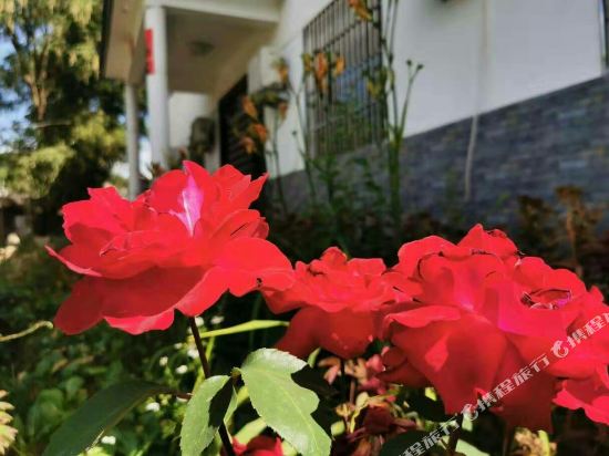 麦积山瑞丰农家乐