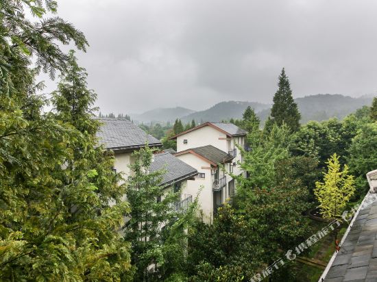 都江堰不期而遇复式公寓