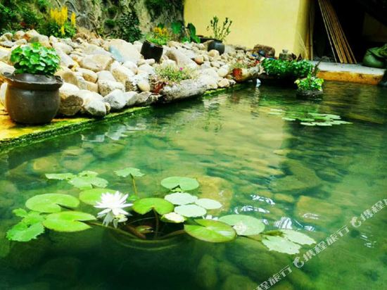 惠州草树先生客栈(增龙路店)