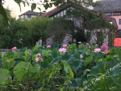 衢州玩创国际青旅