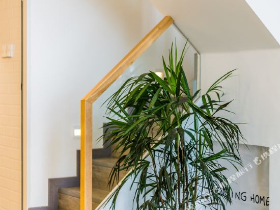 肇庆一个婚礼策划师的家(更多房源点击头像喔)公寓(4号店)