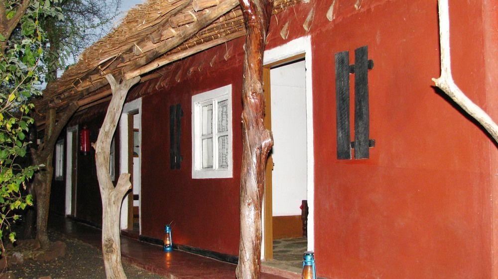 马赛辛巴营度假村-官方