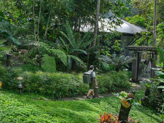 View Capella Ubud Price Background