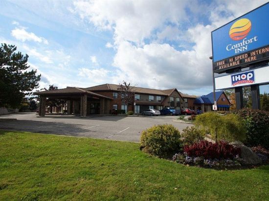 Comfort Inn St Catharines Niagara Niagara 7 7 3 5 Hotel