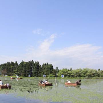 沙丘温泉yumeron预订及价格查询携程海外酒店sakyu Onsen Yumeron - 