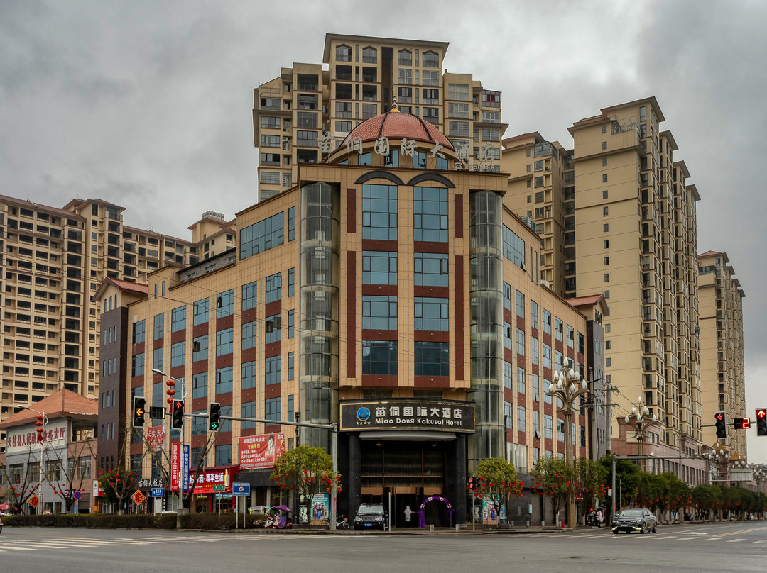 天柱苗侗国际大酒店