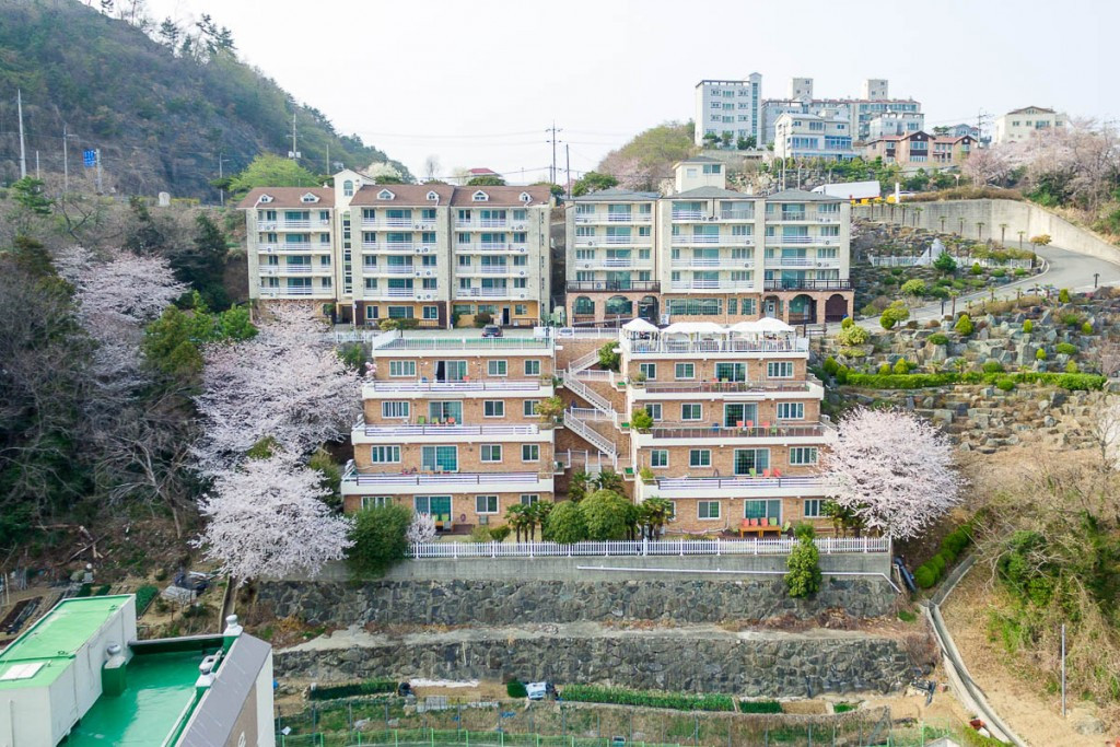 家福瑞斯度假村 乔治