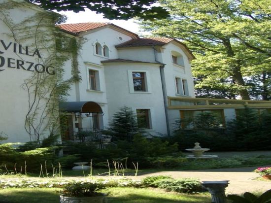 Villa Herzog Dresden 6 0 Price Address Reviews