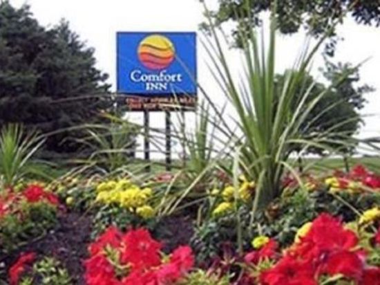 Comfort Inn Winnipeg South Division No 11 5 5 Price