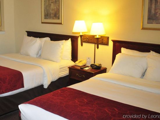 Comfort Suites Newark Harrison Essex New Jersey Hotel Price
