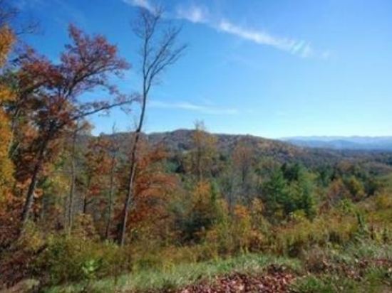 Comfort Inn Mars Hill Madison North Carolina 1 3 6 Price